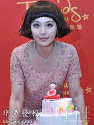 娱乐圈谁最,谁将成为下一个焦点明星?