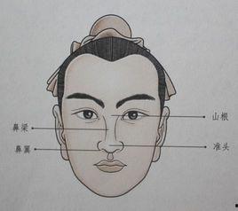 鼻梁起节的明星